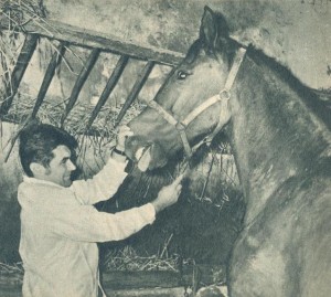 l-1971-063-2